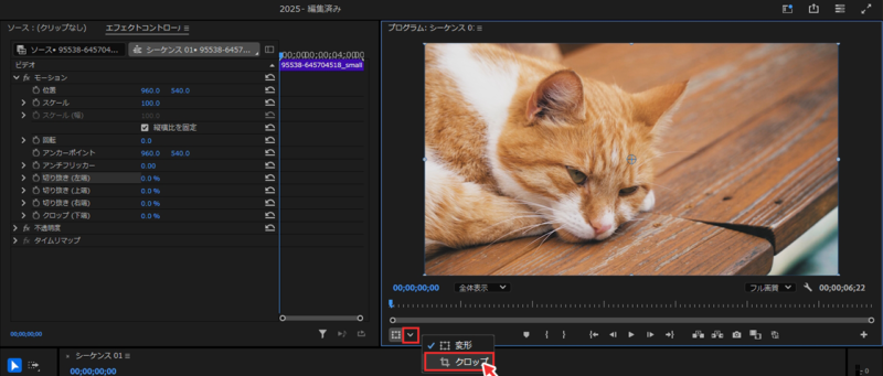 【プログラムモニター】の左下にある【直接操作を選択】から【クロップ】を選択